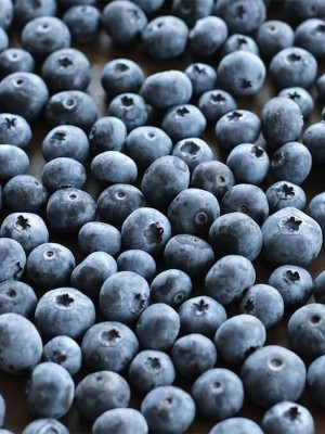 Лохина заморожена