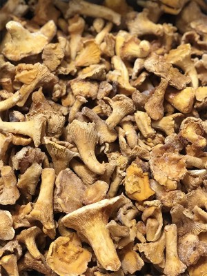 Гриби лисички