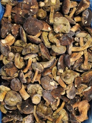 Гриби польські цілі